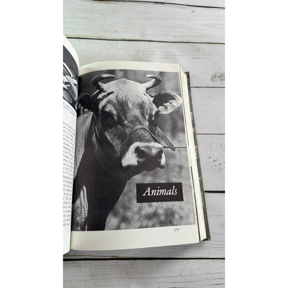 After A Hundred Years Yearbook of Agriculture 1962 USDA Hardcover